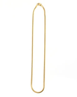 Flat Chain Necklace In Gold -Active Aura Shop flat chain necklace gold stock